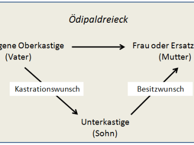 Motivforschung zum Ausländerproblem